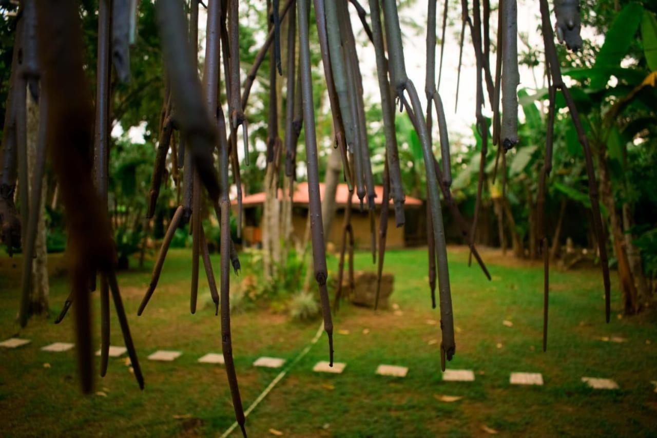 Selnara Private Luxury Villa And Ayurveda Spa Bentota Room photo